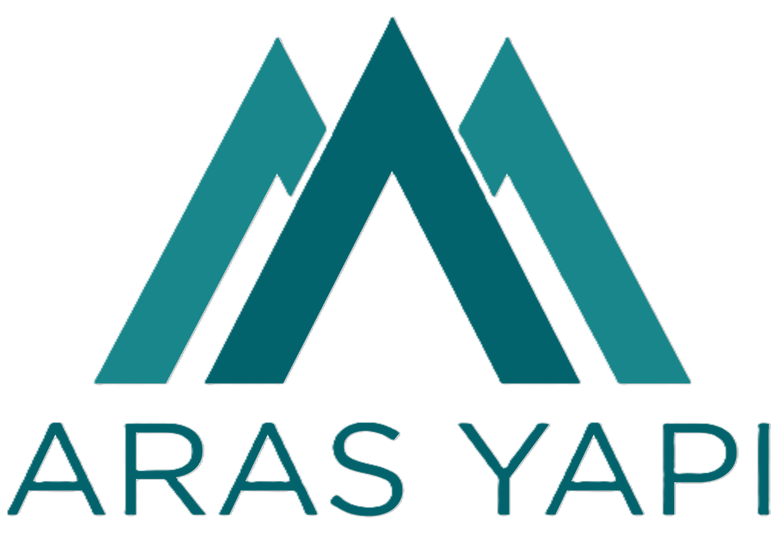 aras asıl logom png (2)